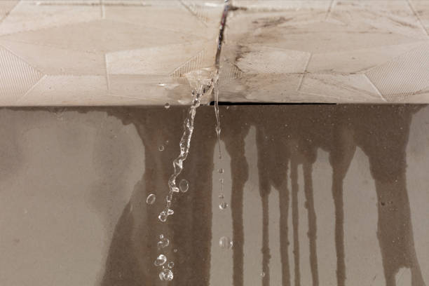 Professional Structural Drying technician working in Leopolis, WI